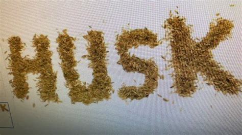 Rice Husk Ash,Expandable Rice Husk Ash Exporters,Pulverised Rice Husk ...