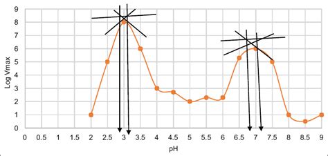 Determination of the activity and kinetics parameters of proteases in ...