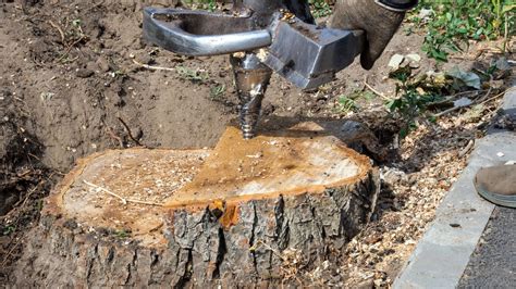 Tree Stump Grinding | Briggs Pro Stump Removal Service Inc.