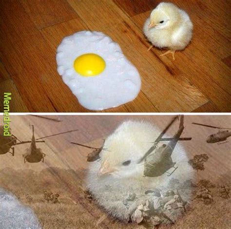 The best vietnam memes :) Memedroid