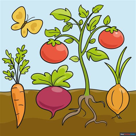 How To Draw A Simple Vegetable Garden at Olivia Madigan blog
