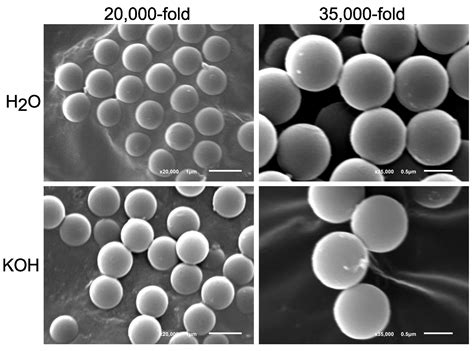Testing of Different Digestion Solutions on Tissue Samples and the ...
