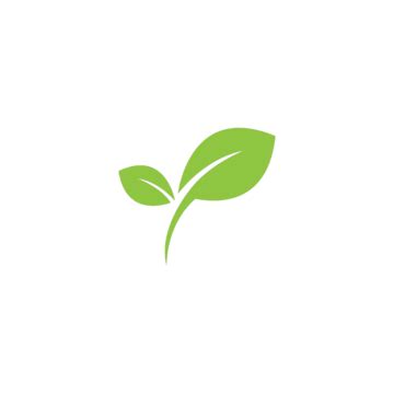 Image result for Spring Leaf Logo Java