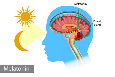 Hormone Hacks: Better Sleep Quality Naturally