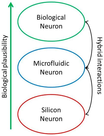 Micromachines | Special Issue : MEMS/NEMS for Neuroscience