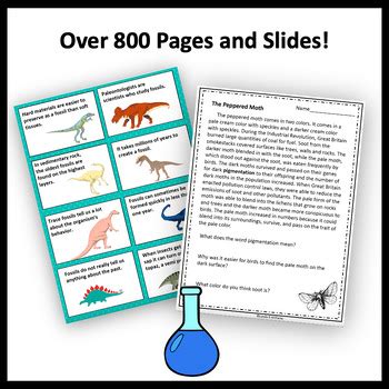 3rd Grade Science 的图像结果