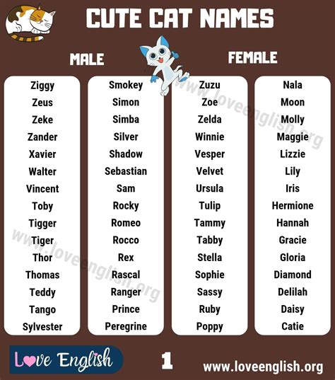Cat names top 160 most popular and cute kitten names – Artofit