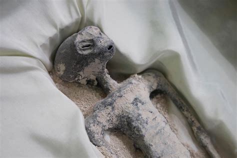 Image result for Alien Inside Female Body