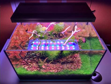 CHIHIROS WRGB2 Series | WRGB2 120 Planted Aquarium LED Light | For 120 ...
