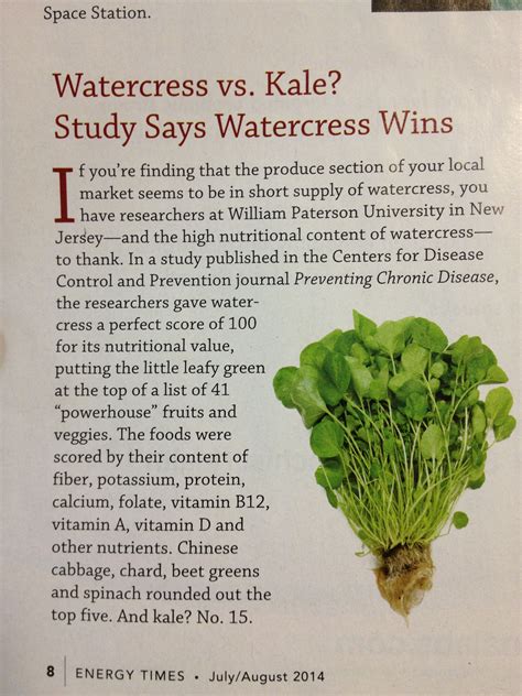 Nutrition Kale Vs Collard Greens at Ryan Henderson blog