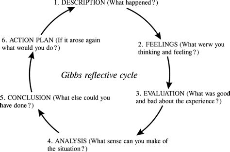 Gibbs Reflective Example 的图像结果