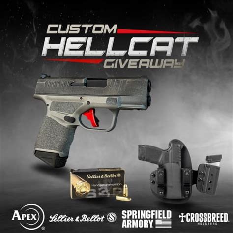 Image result for Springfield Hellcat OSP Custom