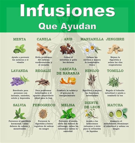 Beneficios de las Hierbas 🌿 | Hierbas para cocinar, Hierbas y especias ...