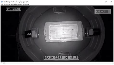 Image result for Open Avi File