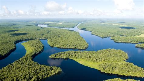 Dense forests on the Amazon River wallpapers and images - wallpapers ...