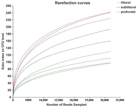 Eukaryotic Diversity Based on High-Throughput 18S rRNA Sequencing and ...