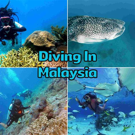 The Best Places To Dive In Malaysia: An Underwater Guide For 2026
