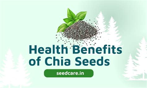 Health Benefits of Chia Seeds