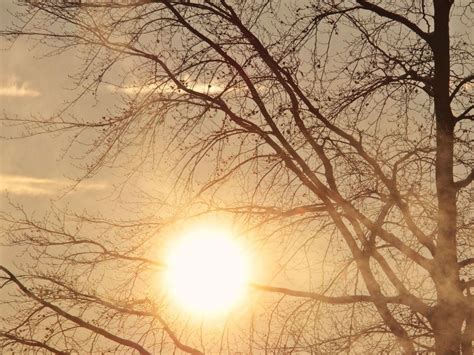 Patna Weather: सावधान पटना! प्री-मानसून की दस्तक, 60kmph की रफ्तार से ...