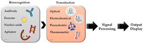Emerging Optical Materials in Sensing and Discovery of Bioactive Compounds