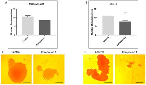 Novel Thieno [2,3-b]pyridine Anticancer Compound Lowers Cancer Stem ...