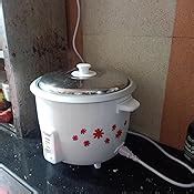 Buy Prestige PRWO 1.8-2 700-Watts Delight Electric Rice Cooker with 2 ...