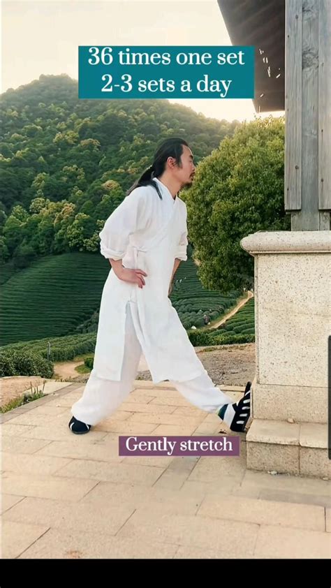 Image result for Tutorial On Tai Chi
