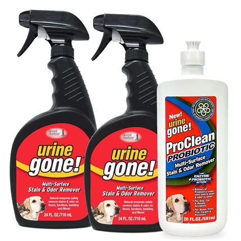 Urine Gone Stain & Odor Eliminator: Fast-Acting Enzyme Cleaner for ...