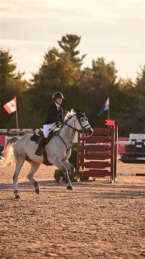 Andree-Anne Brunet | Canadian Equine Photographer | Horse Show [Video ...