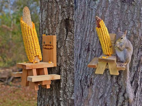 This Picnic Table Squirrel Feeder Lets Your Backyard Squirrels Sit Down ...