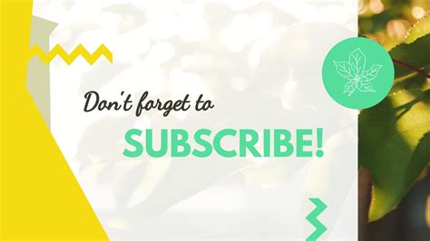 Outro Example 的图像结果