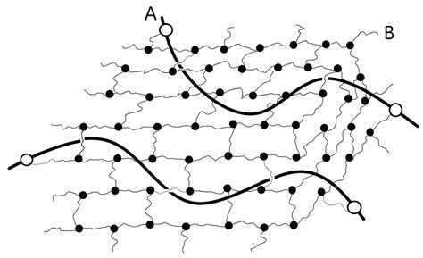 Preparation and Properties of Acetoacetic Ester-Terminated Polyether ...