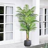 Amazon.com: Keeplush 6ft Tall Triple Golden Cane Palm Artificial Tree ...