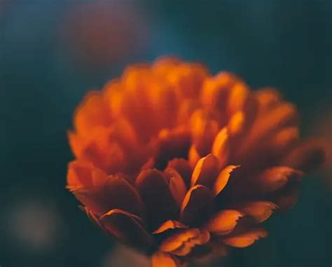 King-Lynk Funeral Home & Crematory, Fort Madison, IA