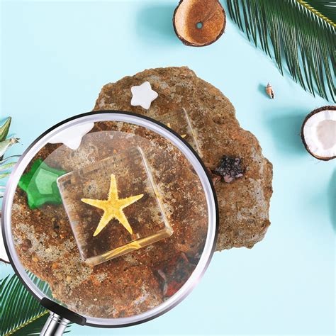 Buy 8 Pcs Insects in Resin Specimen Bug Collection Paperweights Bug ...