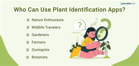 Edible Plant Identification App 的图像结果