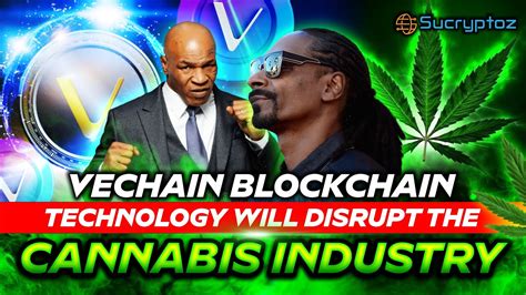 VeChain Official | Real-World Impact Blockchain Technology