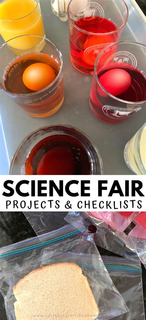 How to Do a Science Project 的图像结果