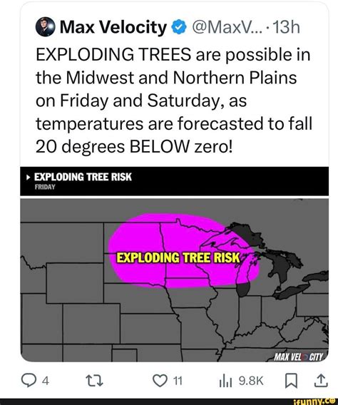 Exploding Tree 的图像结果