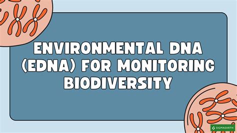 环境dna 的图像结果