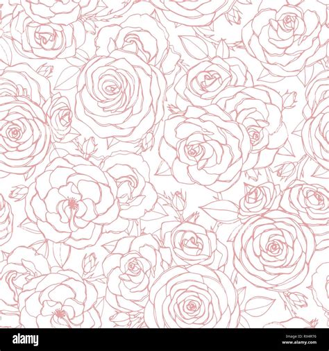 Vector seamless pattern with pink rose flowers and leaves outline on ...
