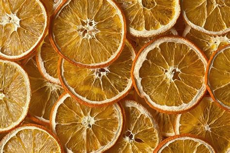 How to Dry Orange Slices (Oven or Dehydrator) - Woodlark Blog