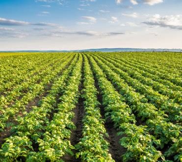 Products - Rajshree Biosolutions - Green Solutions for Bright Futures!