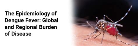 The Epidemiology of Dengue Fever: Global and Regional Burden of Disease