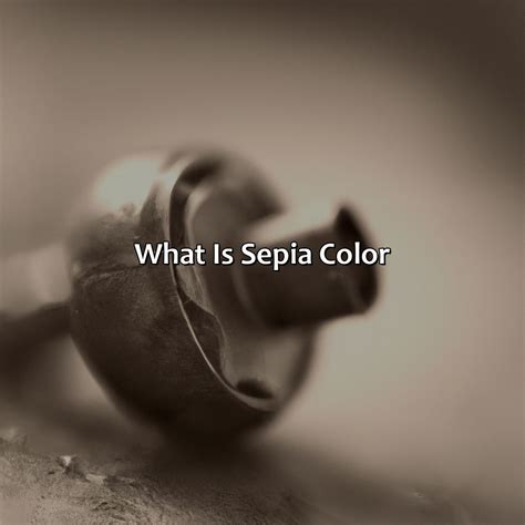 What Is Sepia Color - colorscombo.com