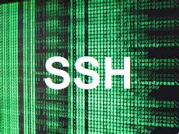 Secure Shell: How Does SSH Work