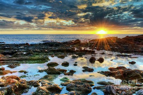 Laguna Beach Tidepools Photograph by Eddie Yerkish - Fine Art America