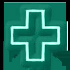 Blessed Healer - bg3.wiki