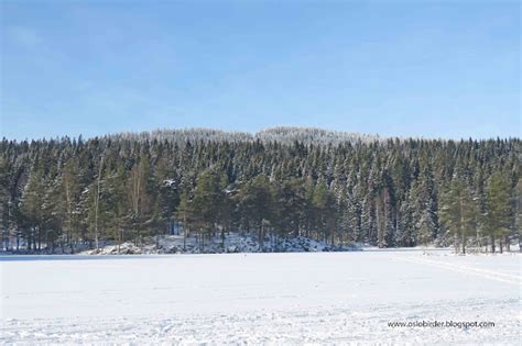 Local People of Forest and Wildlife 的图像结果