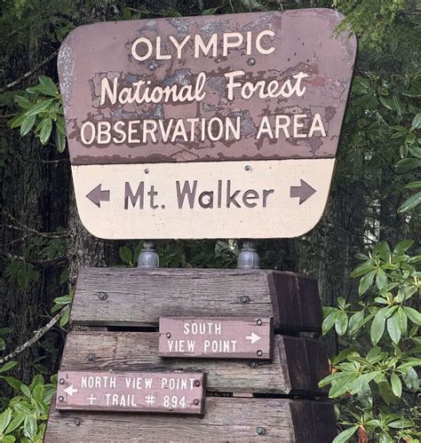 Day Tripper | Exploring the Hood Canal - Gig Harbor Now | A hyperlocal ...